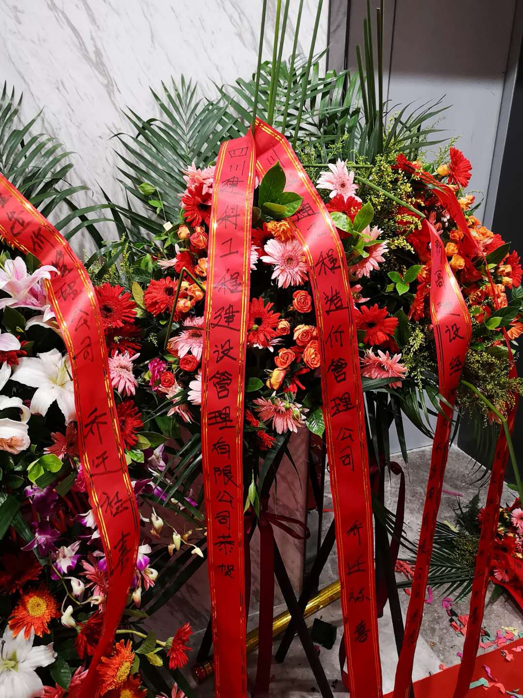 1541758639194019728.jpg 19.jpg